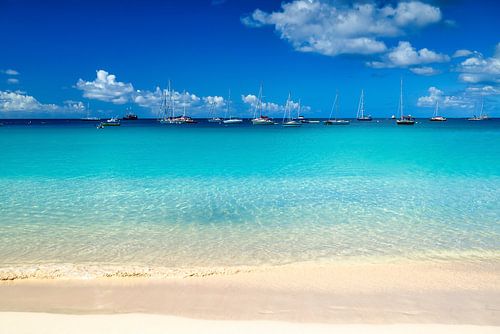 Uitzicht op het droomstrand van Barbados