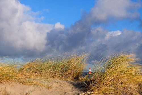Durchblick von Ostsee Bilder