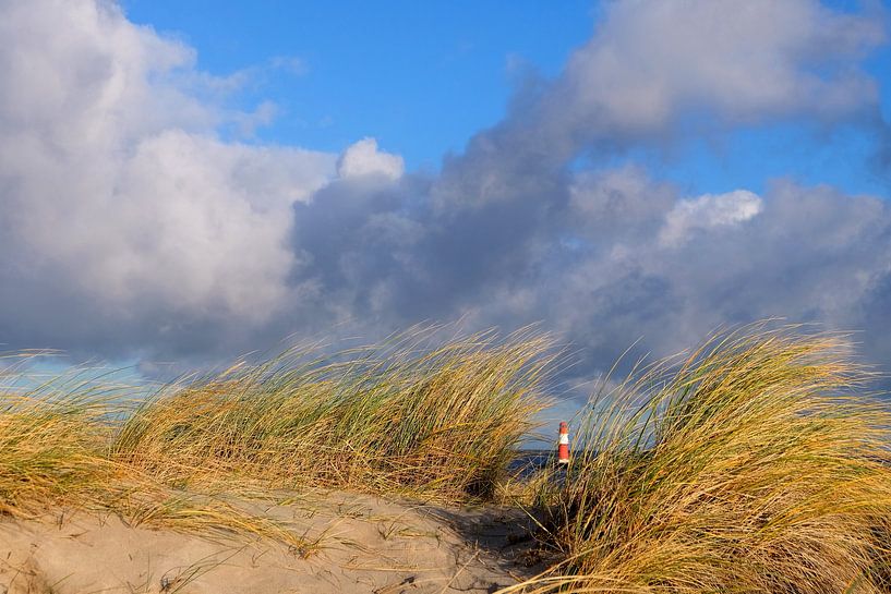 Durchblick by Ostsee Bilder