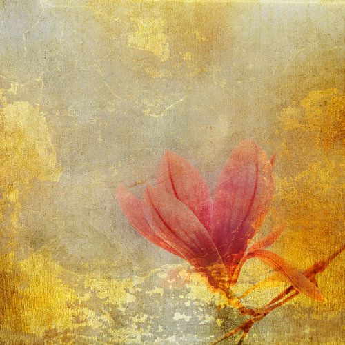 Magnoliabloesem met gouden abstracte verftextuur.