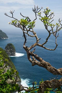 seaview by Marja van Noort