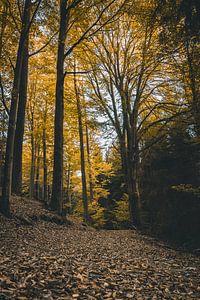 Herbst von Christian Späth