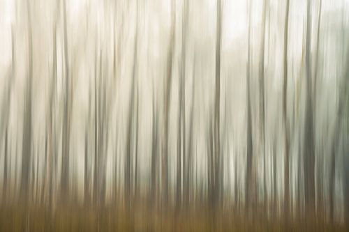 Planken Wambuis part 85