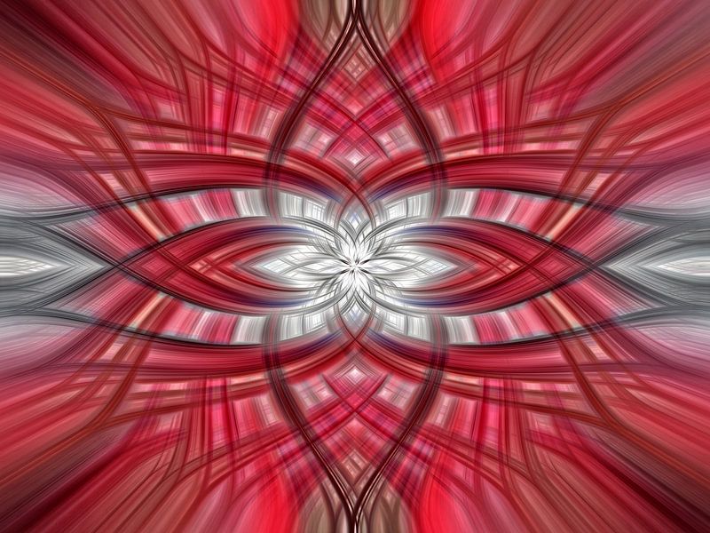 Lotus 5 von Jan van Reij