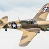 Curtiss P-40 Warhawk van KC Photography