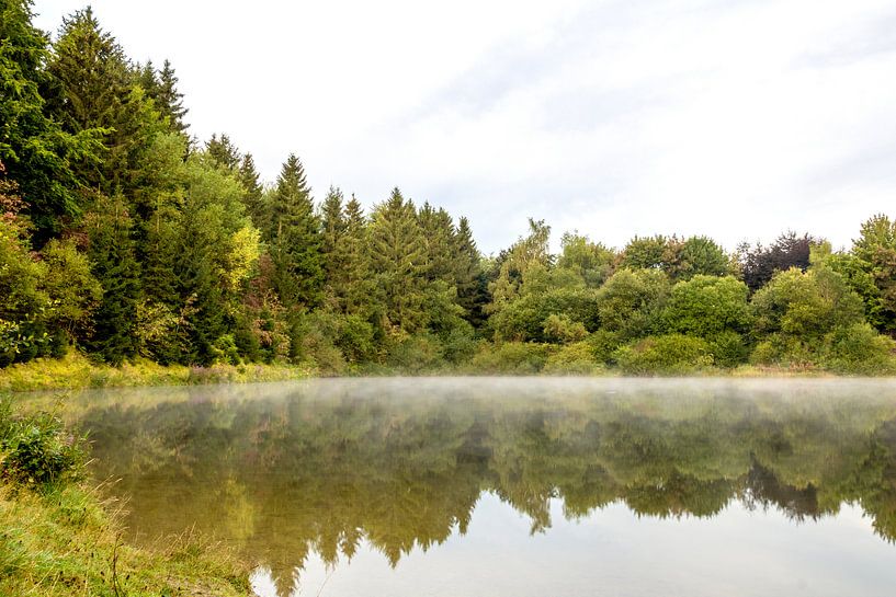 Misty morning by Jolijn van Goch