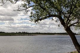 Blick nach Xanten von Petra Dreiling-Schewe