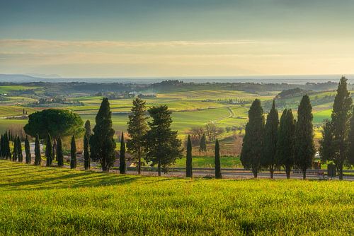 Landschap bij zonsondergang in Maremma. Heuvels en cipressen