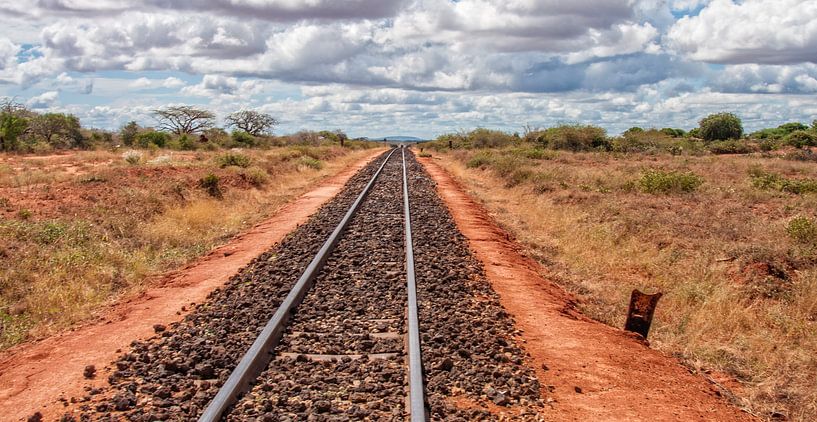 African Railroad par Alex Hiemstra