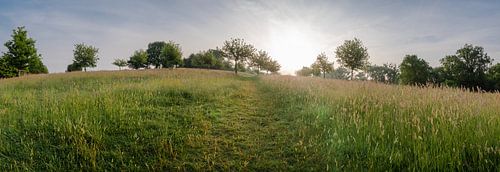 Wandelpad richting de Bellet Boomgaard in Zuid-Limburg
