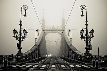 Misty City Bridge