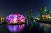 Flottant Pavilion Rotterdam par Peter Bolman Aperçu