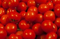 Tomaten in Beeld (tomato) van Brian Morgan thumbnail