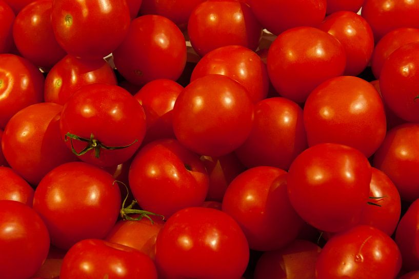 Tomaten in Beeld (tomato) van Brian Morgan