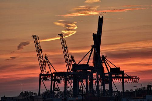 waalhaven sonnenuntergang 010 rotterdam kraniche