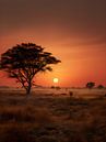 Zonsondergang in Afrika V4 van drdigitaldesign thumbnail