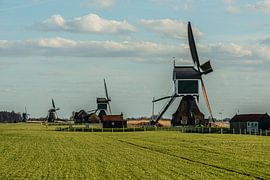 Dutch Landscapes by Brian Morgan