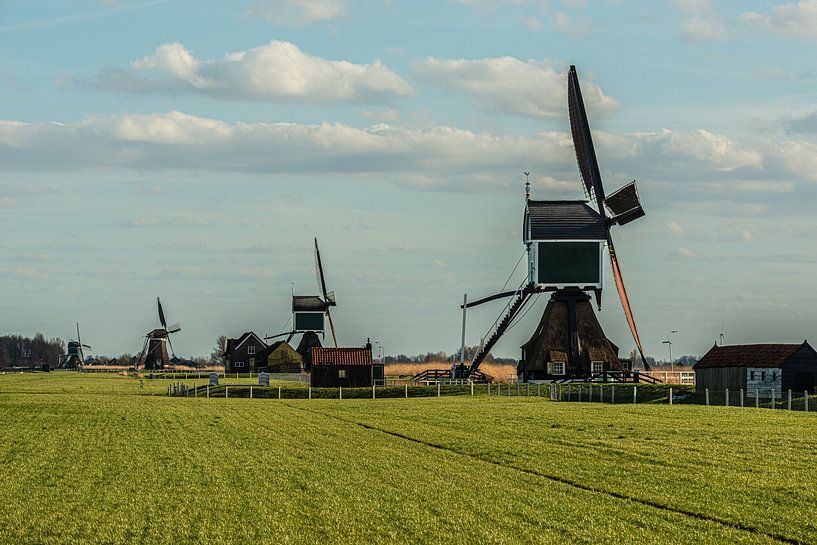 Dutch Landscapes by Brian Morgan