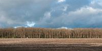 Drenthe