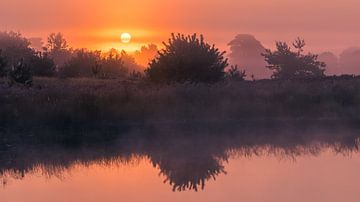 Sonnenaufgang Aekingerzand von Henk Meijer Photography