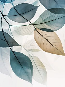 Botanische sfeer van Koffie Zwart