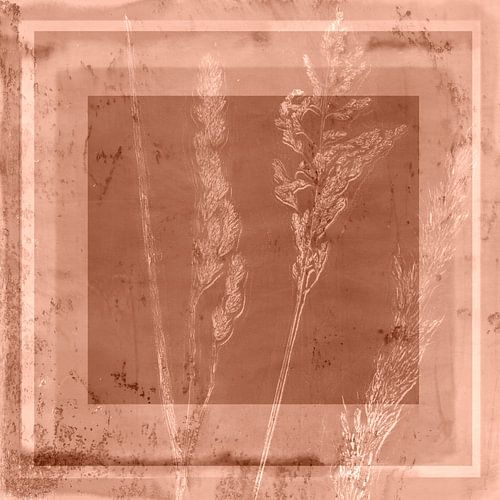 Planten en abstracte vormen in koraalbruin.