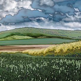 Le printemps sur la Côte d'Opale sur Boudewijn Swanenburg