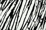 Zebra van Mariska Vereijken thumbnail