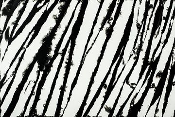 Zebra by Mariska Vereijken