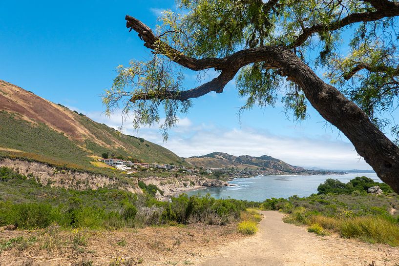 Pirate&#039;s Cove Beach by Tashina van Zwam