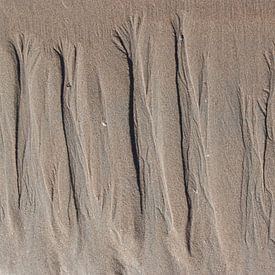 Abstracte foto van bomen in zand van Danielle Roeleveld