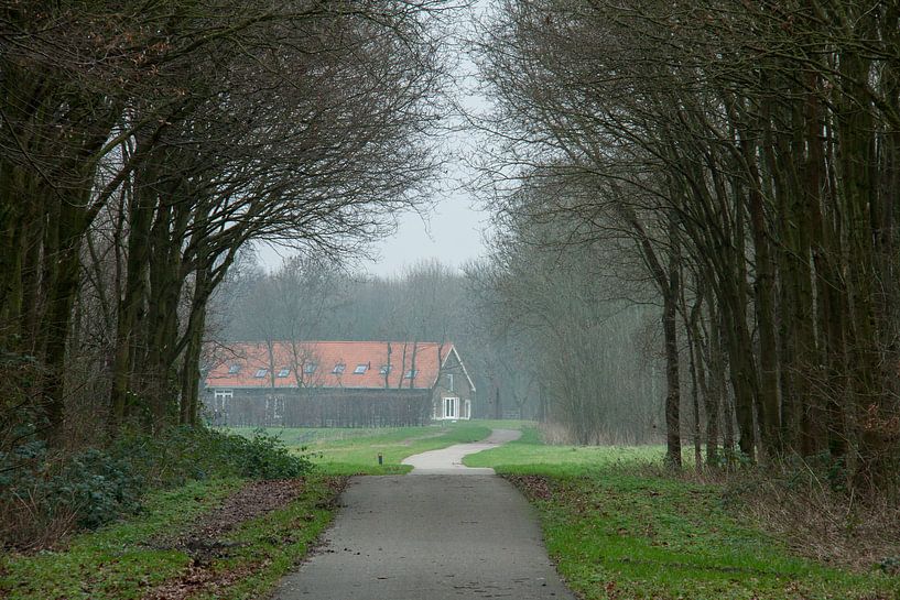 Een boerderij in de Alkeetse Polder 01 von Hans Blommestijn