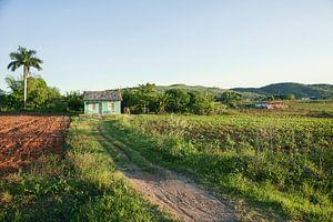 Vinales, Cuba. Een panorama met een boerderij in het landschap in Vinales, Cuba