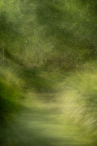 Ruisseau dans le Brabant par Elles Rijsdijk