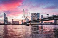 Magischer Sonnenaufgang Erasmusbrücke Rotterdam von Midi010 Fotografie Miniaturansicht