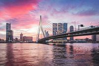 Magical sunrise Erasmus Bridge Rotterdam