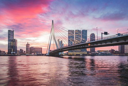Magische zonsopkomst Erasmusbrug Rotterdam