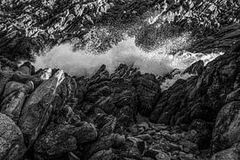 Barst van het leven van Robin Schalk