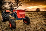 Alter roter Traktor in einem Schilffeld von Sjoerd van der Wal Fotografie Miniaturansicht