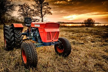Old red tractor in a reed field in the Weerribben-Wieden 