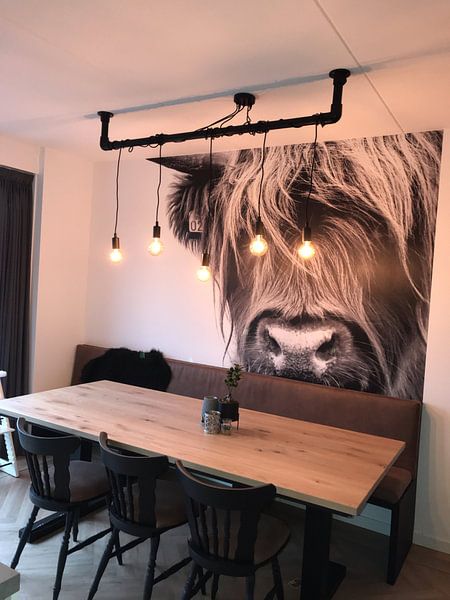 Customer photo: Portrait Scottish Highlander black and white by Sandra van Kampen, as wallpaper