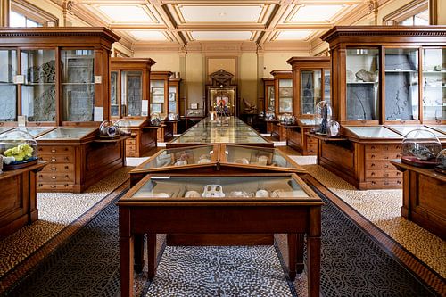 Fossielenzaal - Teylers Museum