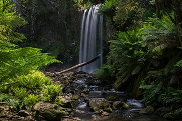 Hopetoun Falls Australia Waterfall by Tom in 't Veld