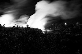 Mysterious nature scene in New Zealand by Senta Bemelman