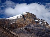 Gletsjer El Cocuy van Roos Vogelzang thumbnail