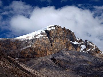 Gletsjer El Cocuy van Roos Vogelzang