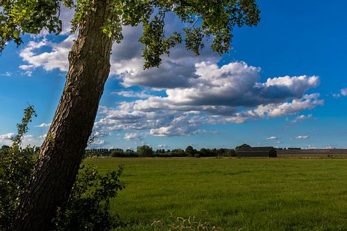Blick auf das Ackerland