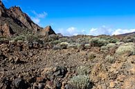 Landschaft im Teide National Park auf Teneriffa von Reiner Conrad Miniaturansicht