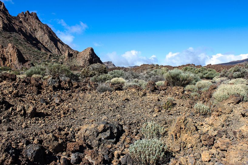 Landschaft im Teide National Park auf Teneriffa von Reiner Conrad