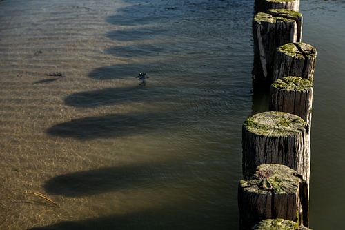 Schaduw strandpalen in het water 2